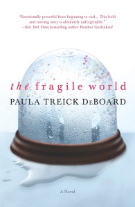 The Fragile World final front cover